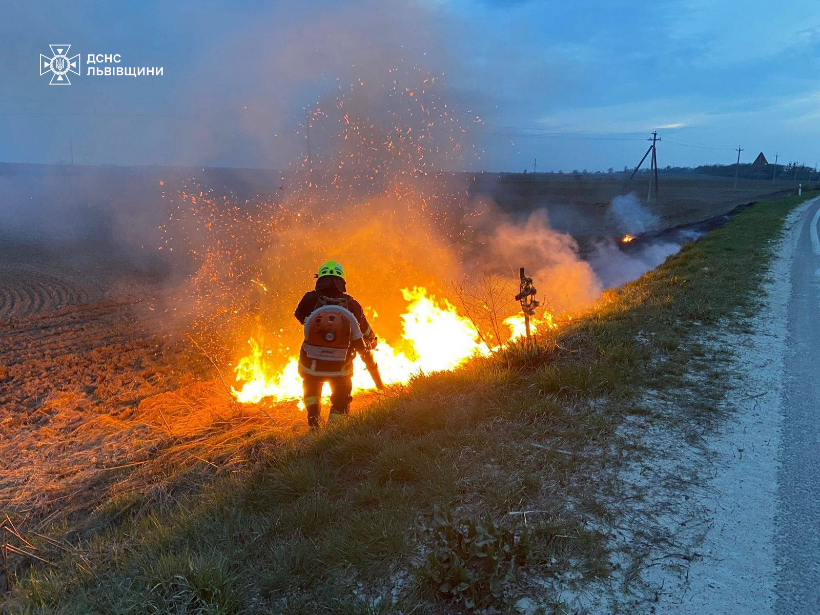 Львівщина знову палає: рятувальники розповіли про наслідки 27 підпалів за добу
