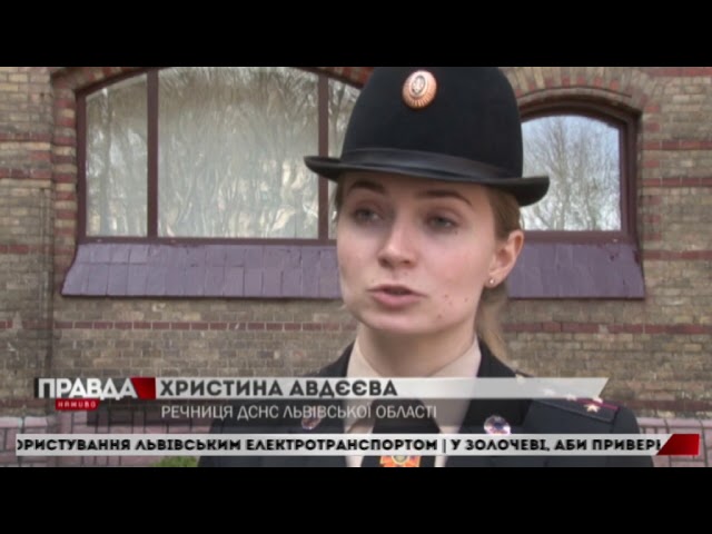На Львівщині горить сухостій