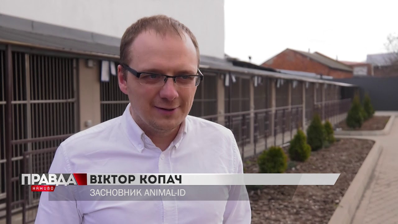 У Львові запрацював перший в Західній Україні банк крові для чотирилапих