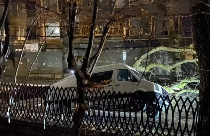 У Львові на автомобіль впало дерево: постраждав водій
