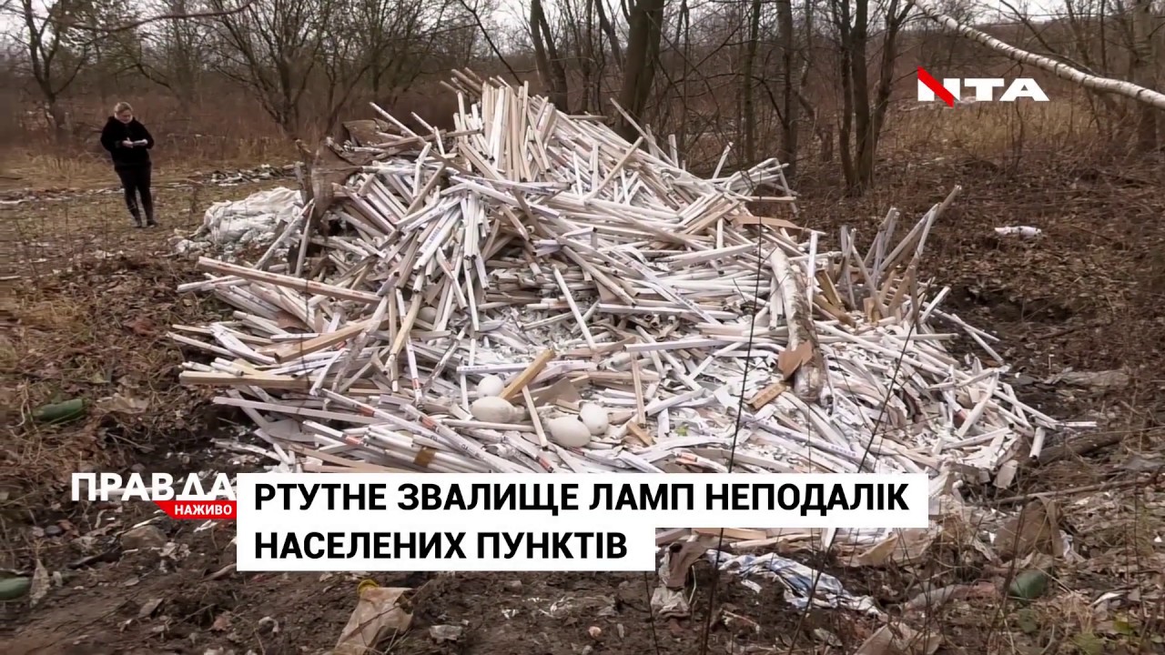 Небезпечне звалище поблизу Зимної Води: викинули тисячі ртутних ламп