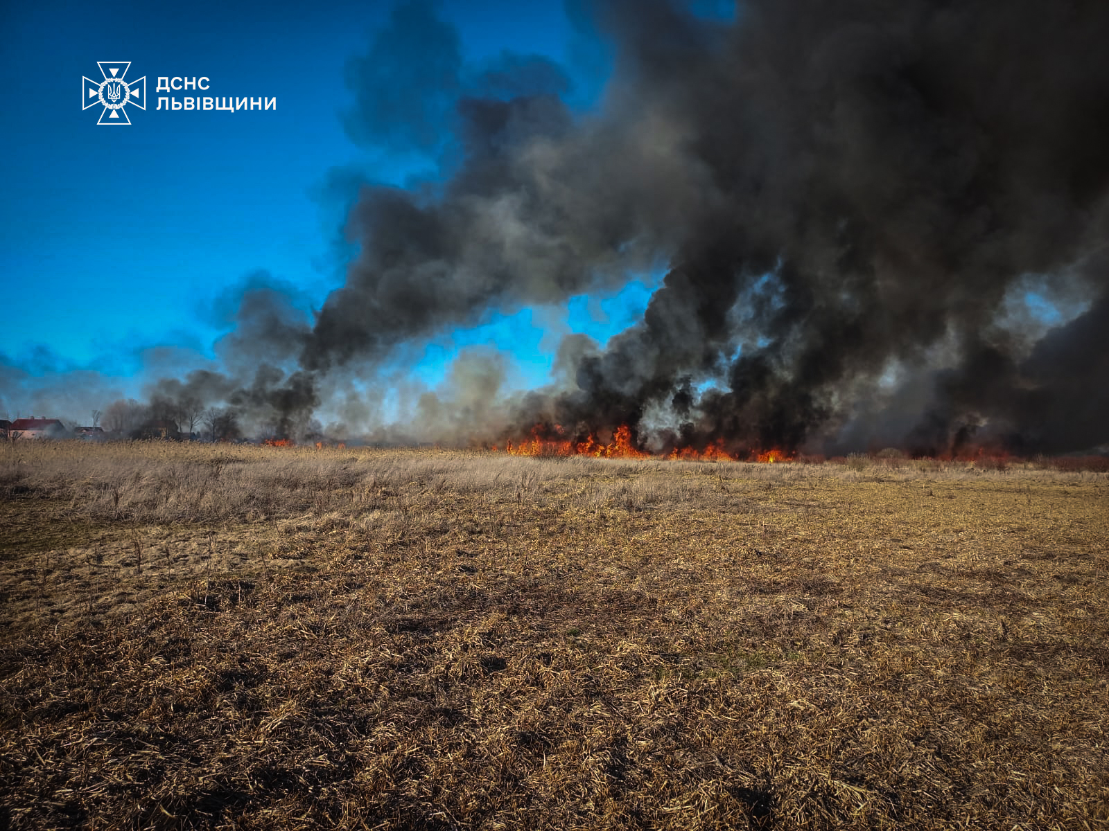 Понад 50 пожеж за добу: на Львівщині вигоріло понад 6 гектарів землі, є постраждалі