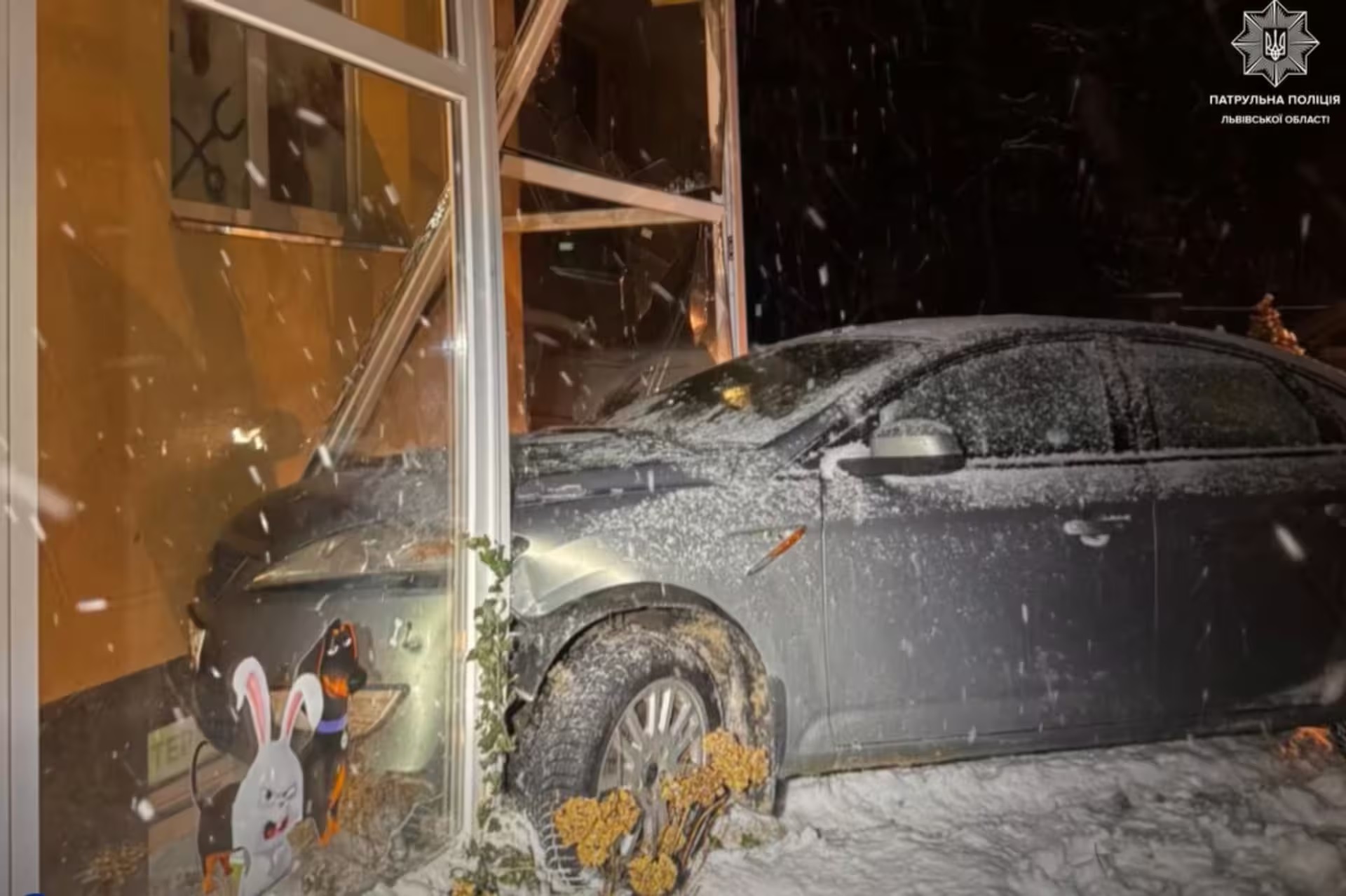 У Львові п'яний водій влетів у ветеринарну клініку