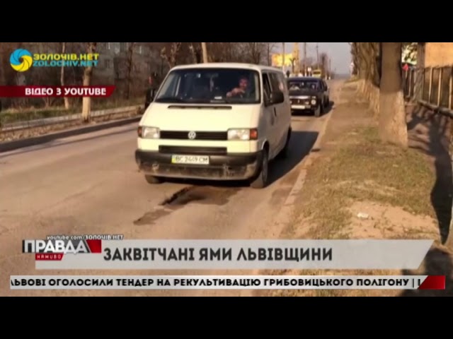У Золочеві активісти висадили квіти на дорогу