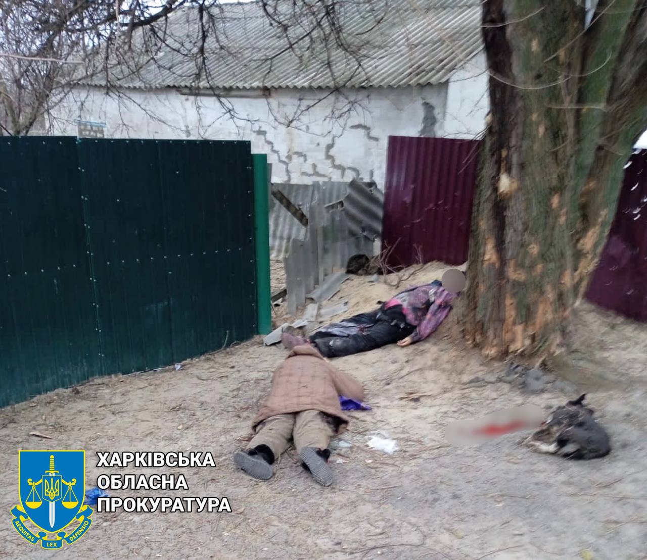 Рашисти вбили двох жінок у Харківській області
