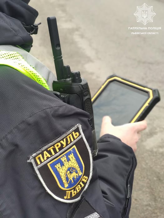 У Львові розшукали водія, який збив собаку та втік з місця ДТП