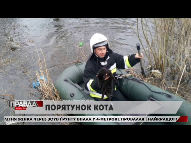На Львівщині врятували кота