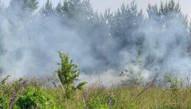 Два вертольоти рашистів обстріляли прикордоння Сумщини