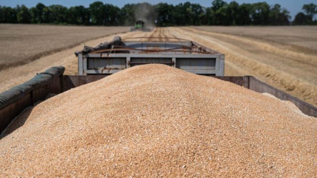 У Польщі пригрозили «безтерміновою» забороною на українське зерно