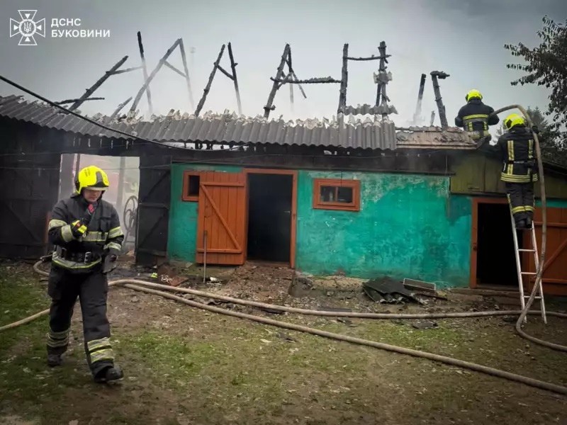На Буковині блискавка влучила в будинок (фото)