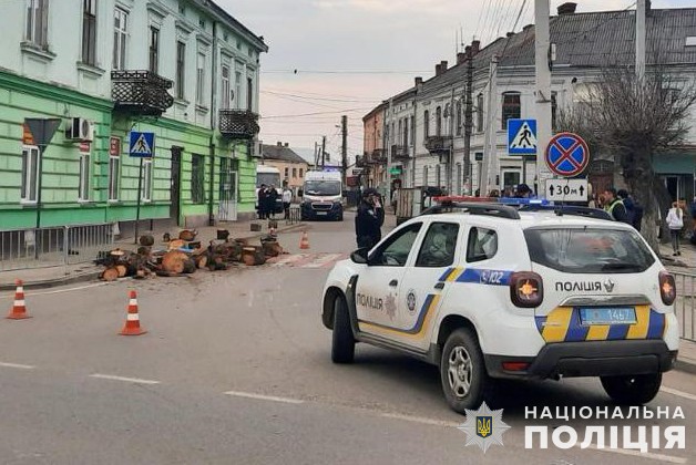 Був п’яним. На Львівщині затримали 24-річного водія, через якого під час перевезення дрів загинув юнак