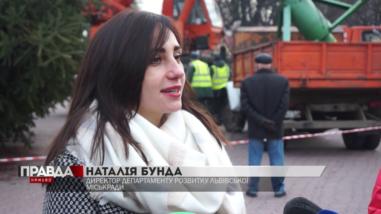 У Львові встановили головну ялинку