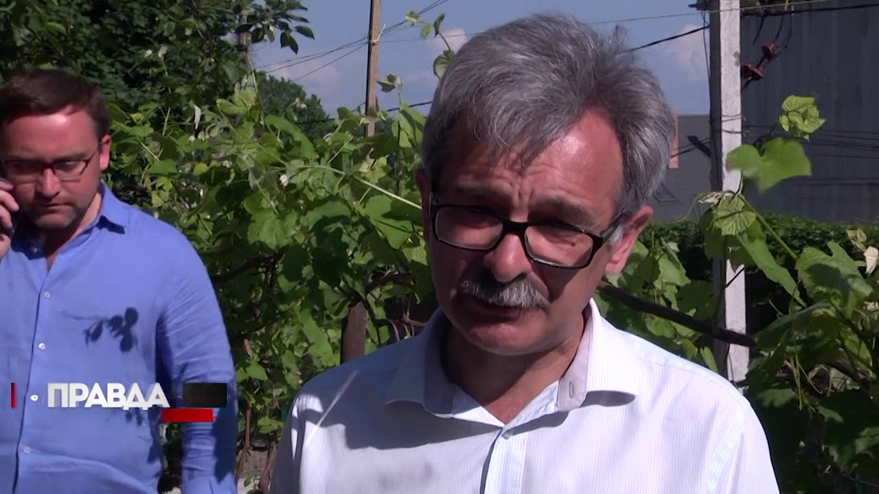 У Винниках зірки висадили перший суспільний виноградник