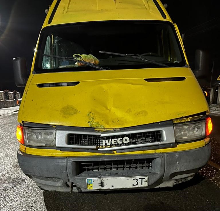 На Львівщині вантажівка на смерть збила 87-річну жінку