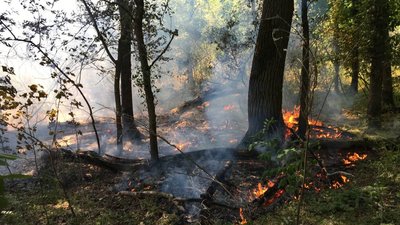 Висока пожежна небезпека 21-22 квітня, - метеорологи попереджають