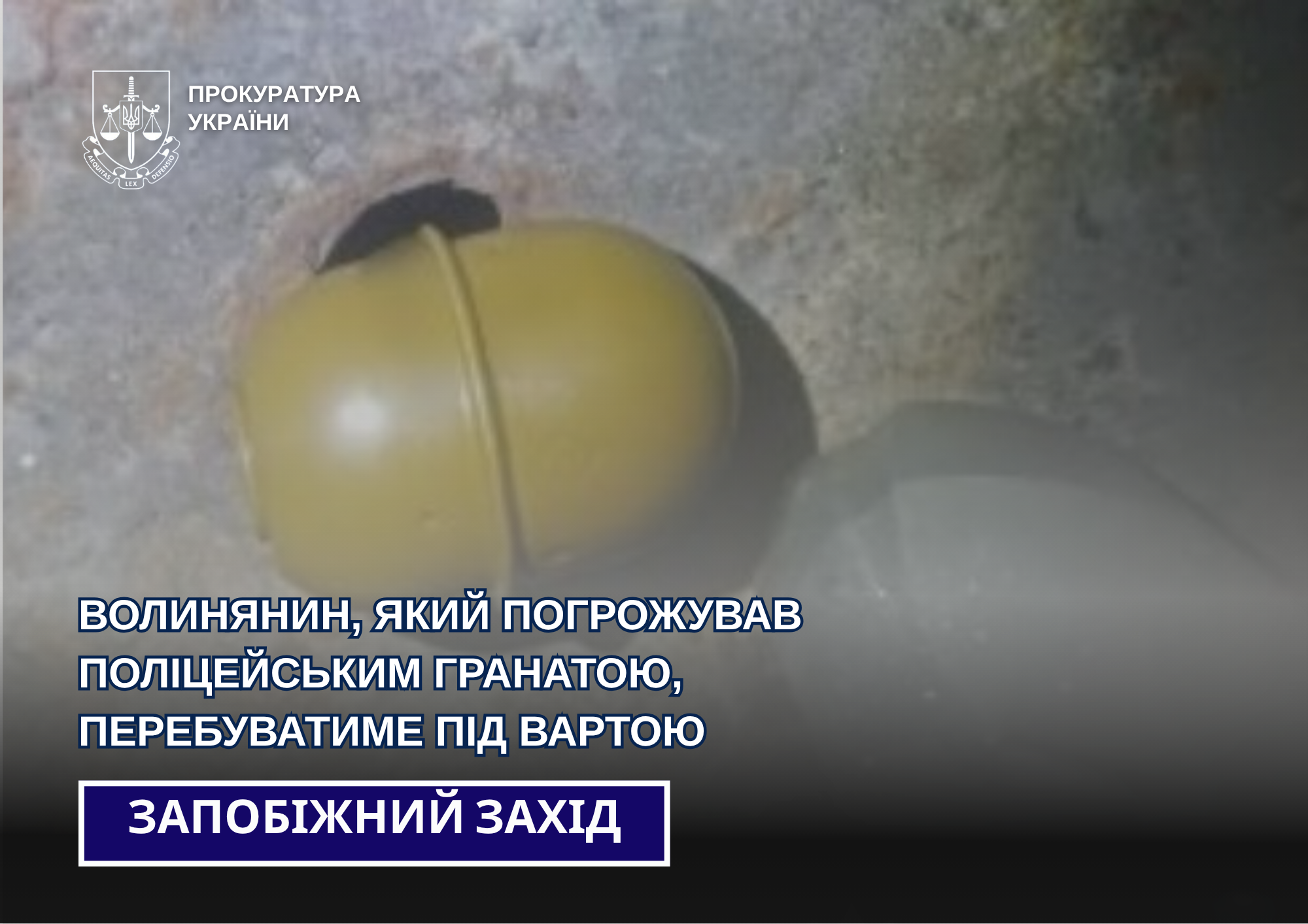 На Волині чоловік побив жінку та погрожував поліцейським гранатою