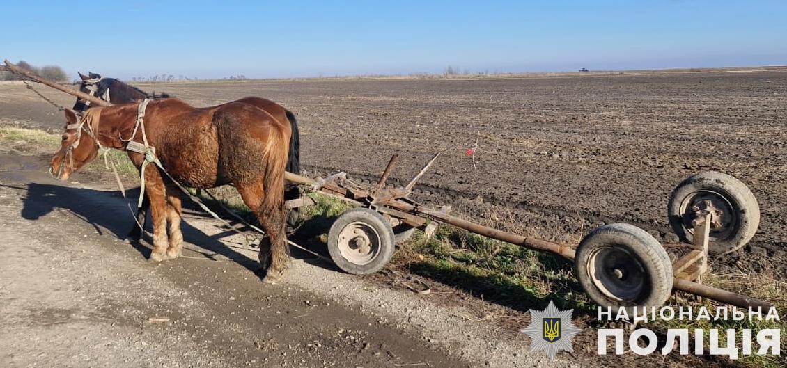 На Львівщині чоловіка розчавила бочка: поліція повідомила деталі трагедії (фото)