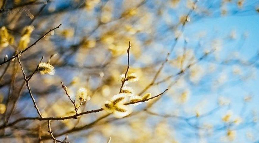 У Львові зафіксували ще один температурний рекорд