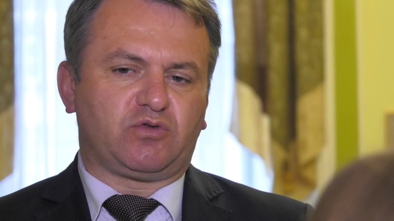Грибовицька трагедія: причини обвалу