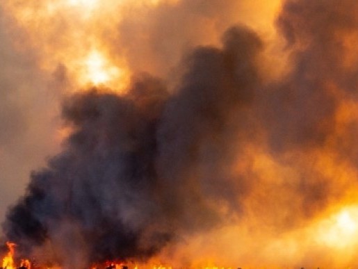 Генштаб ЗСУ: Штурм ворога в напрямку Вершина – Луганське завершився провалом
