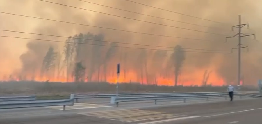У Росії не вчухають масштабні пожежі: в областях впроваджують надзвичайний стан