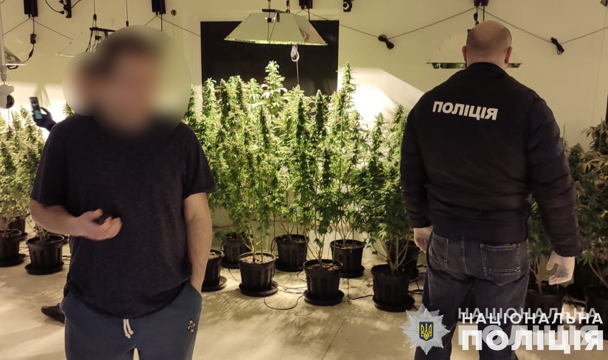 Нарколабораторії з канабісом на 10 млн грн: на Львівщині викрили злочинне угруповання