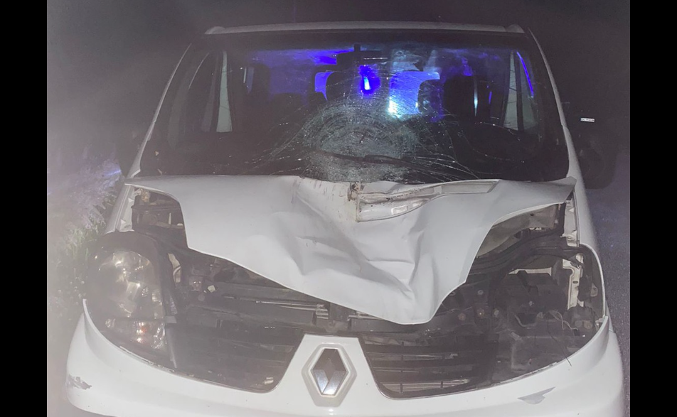 На Львівщині водій авто на смерть збив жінку-пішохода