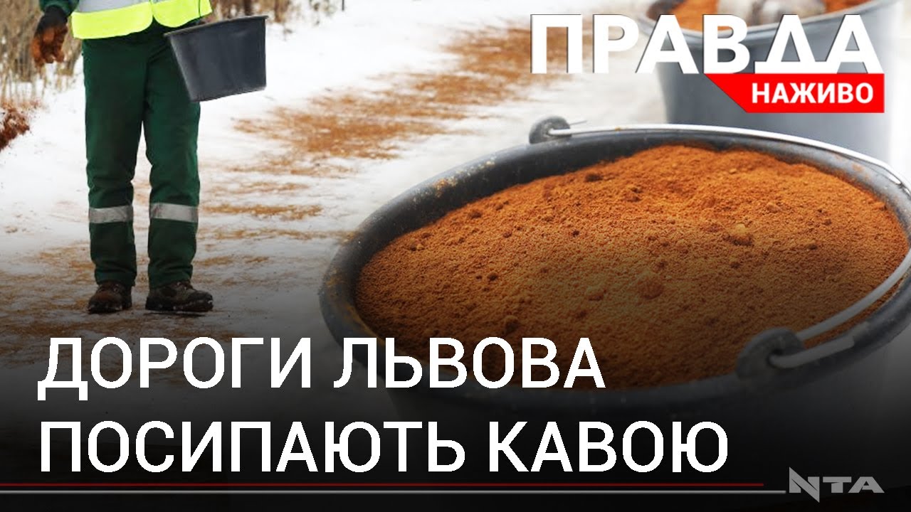 Кавовою гущею посипали стежки львівського парку: навіщо?