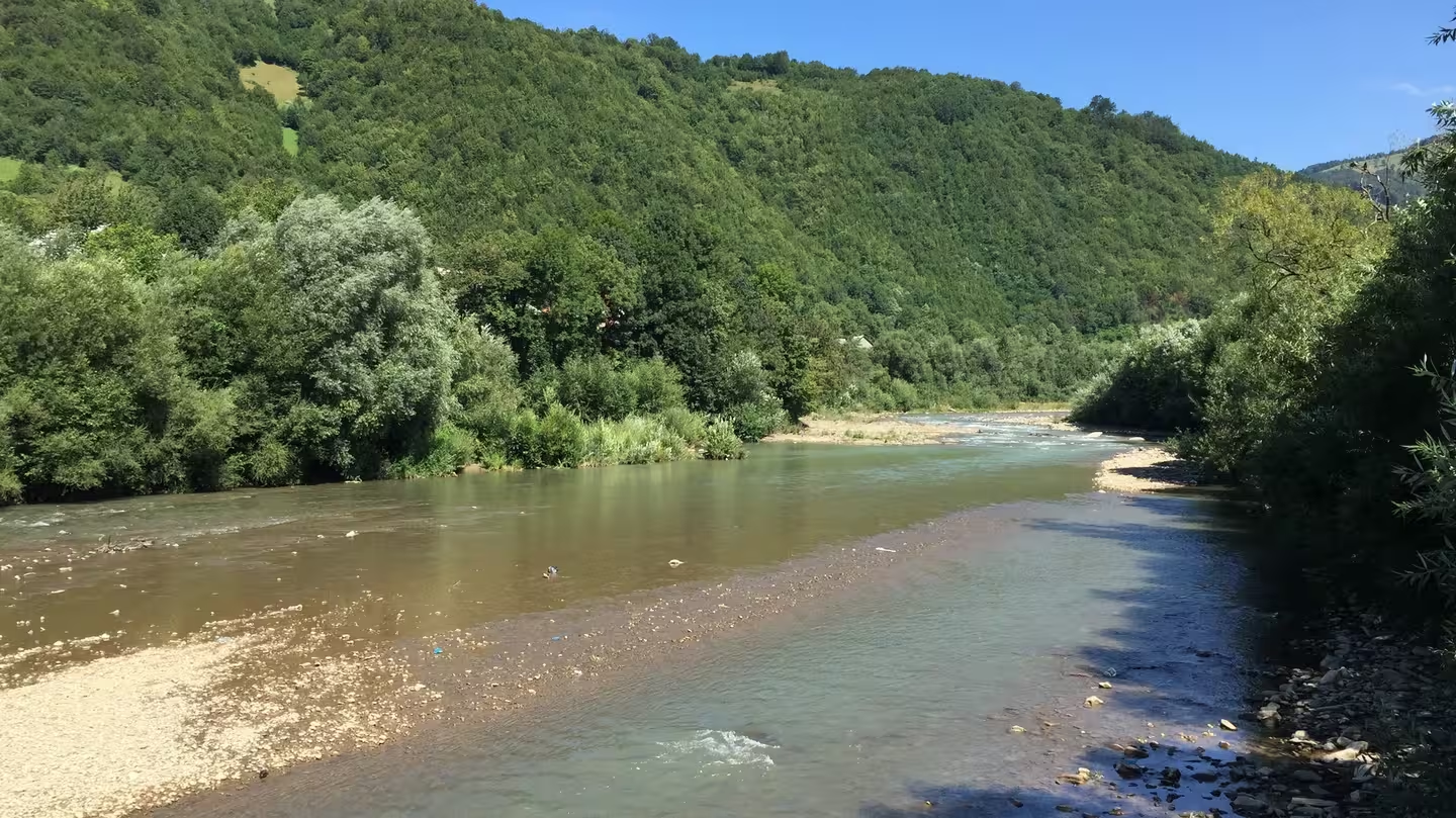 На Закарпатті в річці знайшли потопельника: що сталося