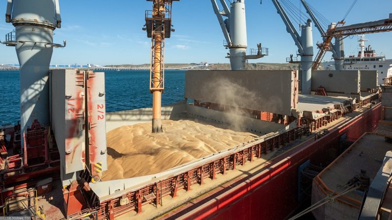 Відновити морські поставки зерна з України буде дуже складно, - Блінкен