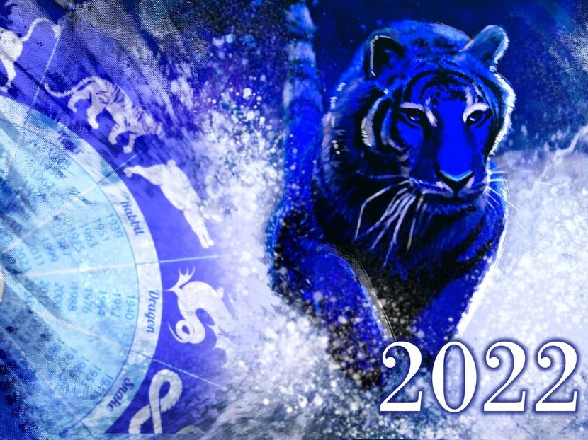 Рік можливостей. Що приготував 2022 для знаків Зодіаку