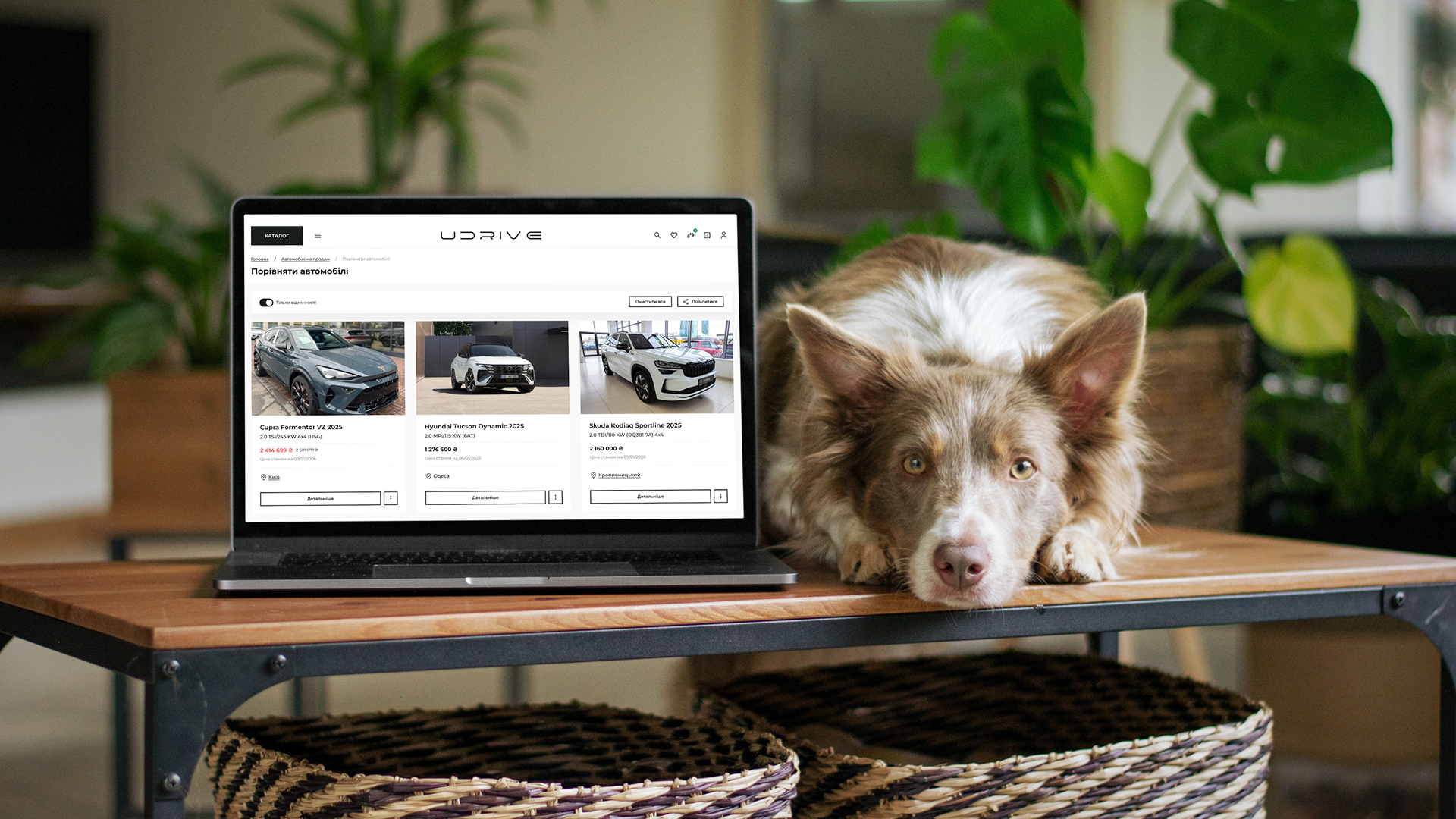 Один сайт замість десятків вкладок: на платформі UDRIVE можна купити нове авто онлайн від офіційних дилерів