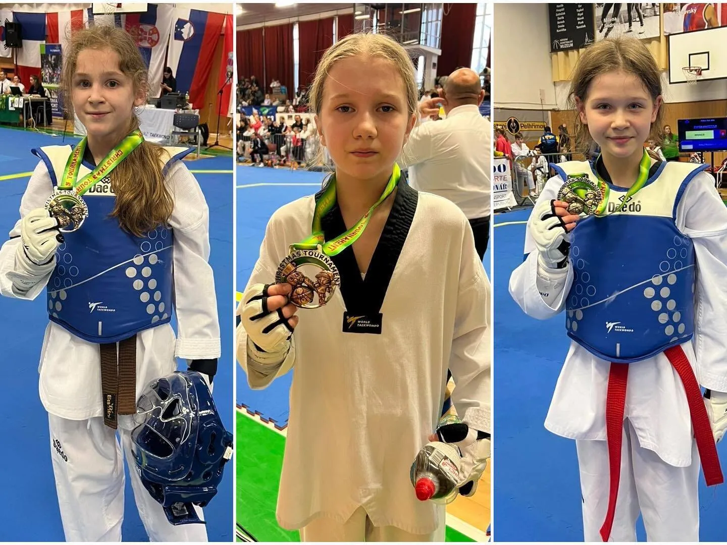 В Ірпені раптово пішла з життя 14-річна чемпіонка з тхеквондо