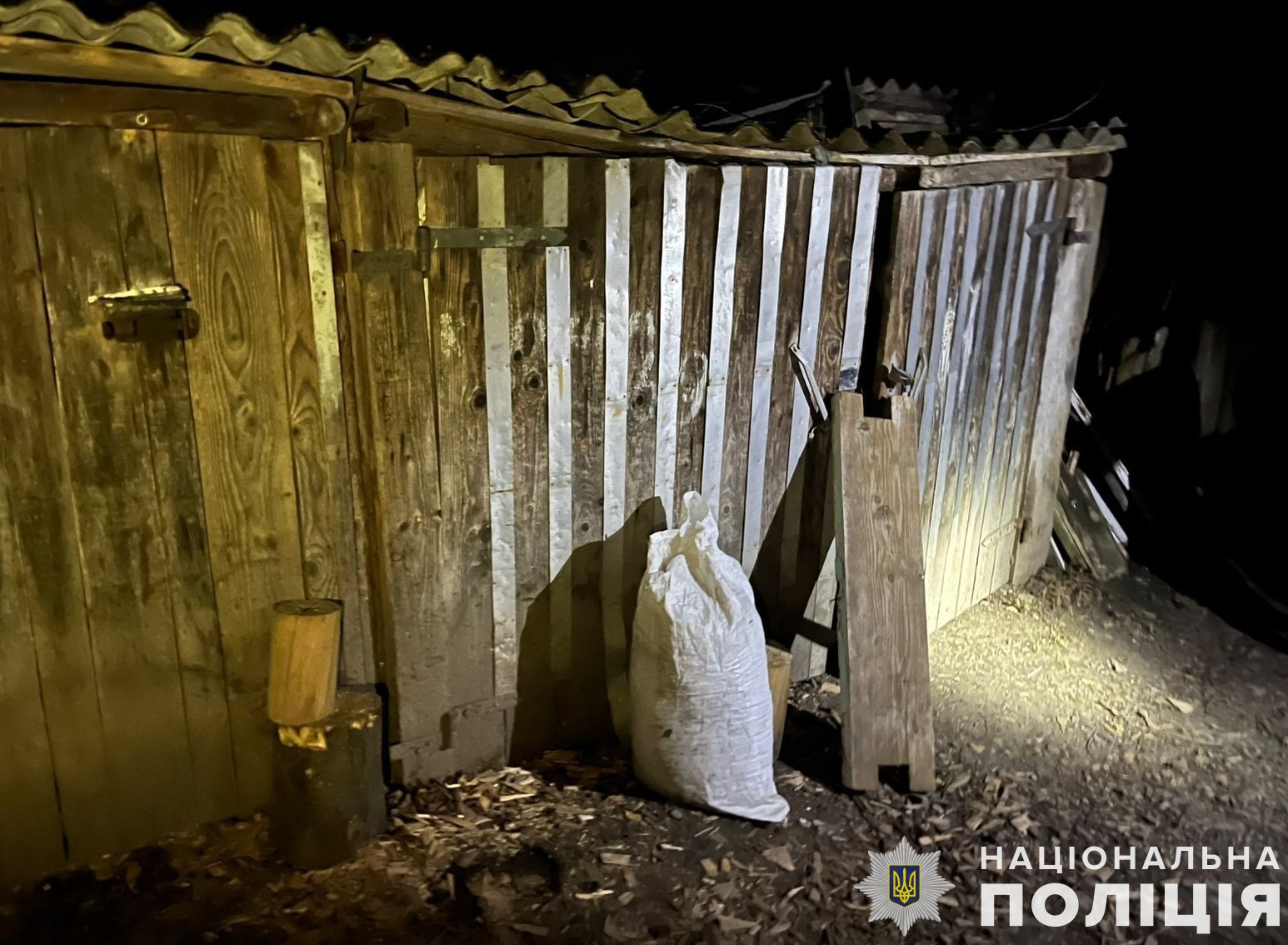 Чинив домашнє насильство та зберігав гранати: на Львівщині поліція відкрила кримінальне провадження