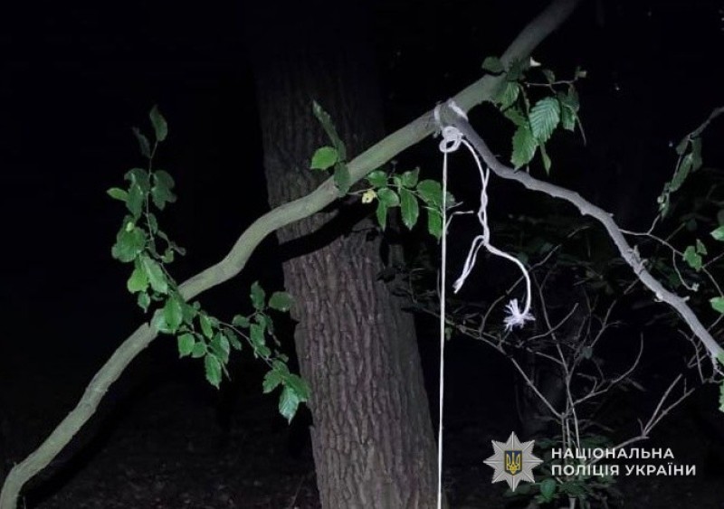 На Львівщині чоловік повісив сусідського собаку: справу розслідує поліція