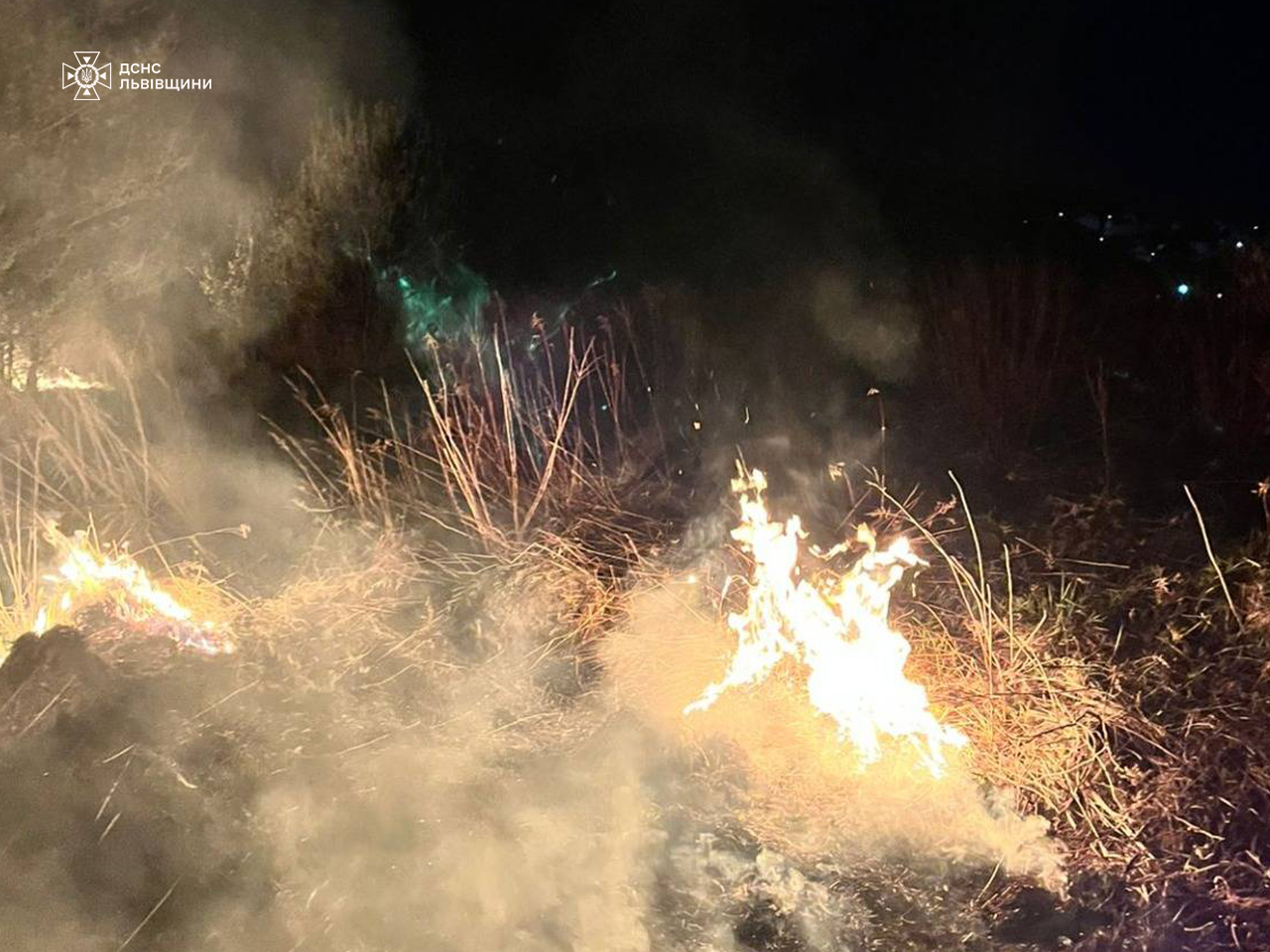 На Львівщині вирували потужні пожежі: з'явилися фото