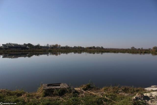 Масове отруєння на озері на Львівщині: стали відомі нові деталі