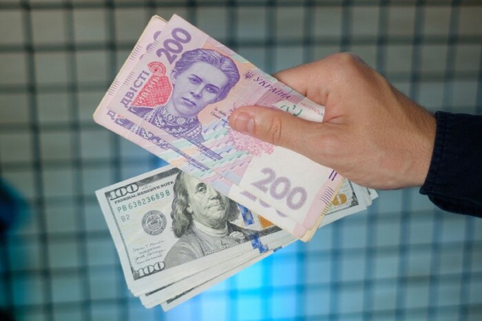 У Нацбанку розповіли, чого очікувати від курсу гривні 2024-го року