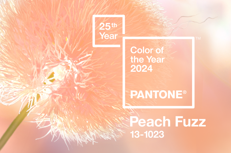 Теплий і затишний. Pantone назвав головний колір 2024 року