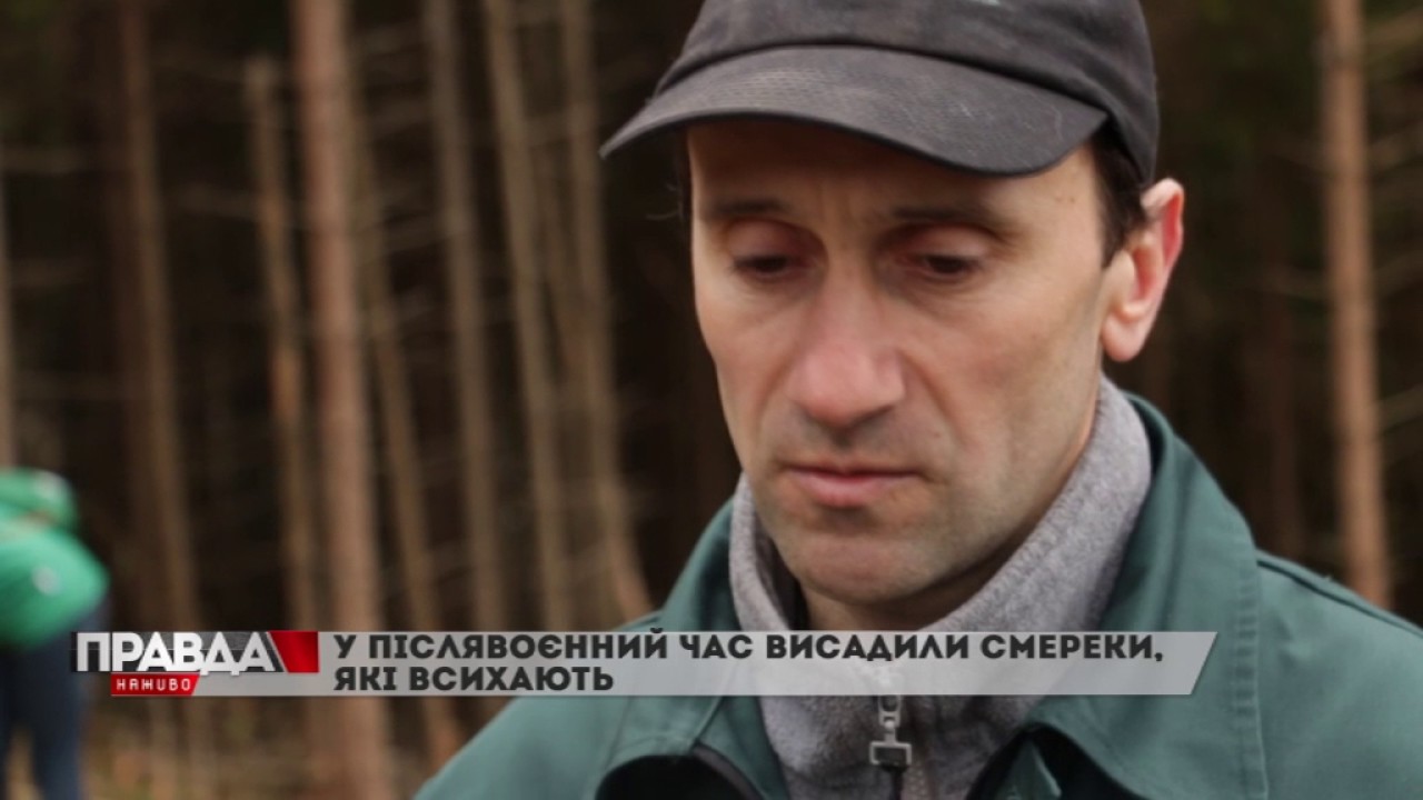У Карпатах стартував еко-проект "Разом за природу"