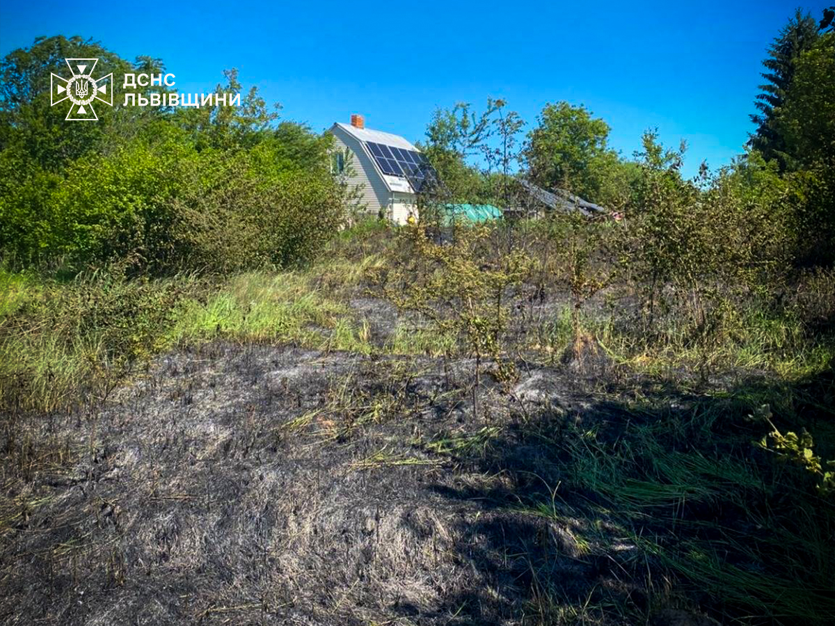 На Львівщині чоловік ледь не загинув у чагарниках