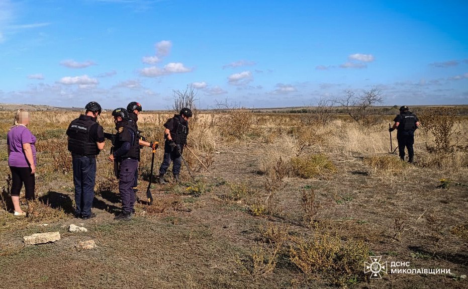На Миколаївщині підірвалися на мінному полі чотири корови: ледь не загинула власниця