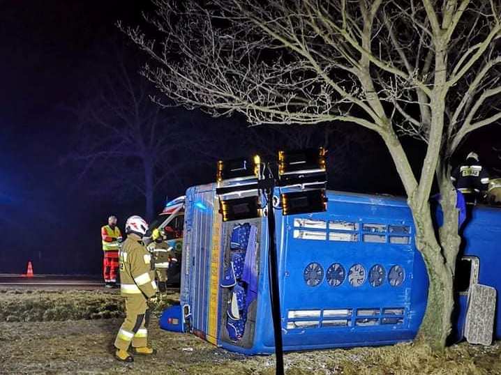 У Польщі перекинувся автобус з українцями. Постраждали шестеро людей
