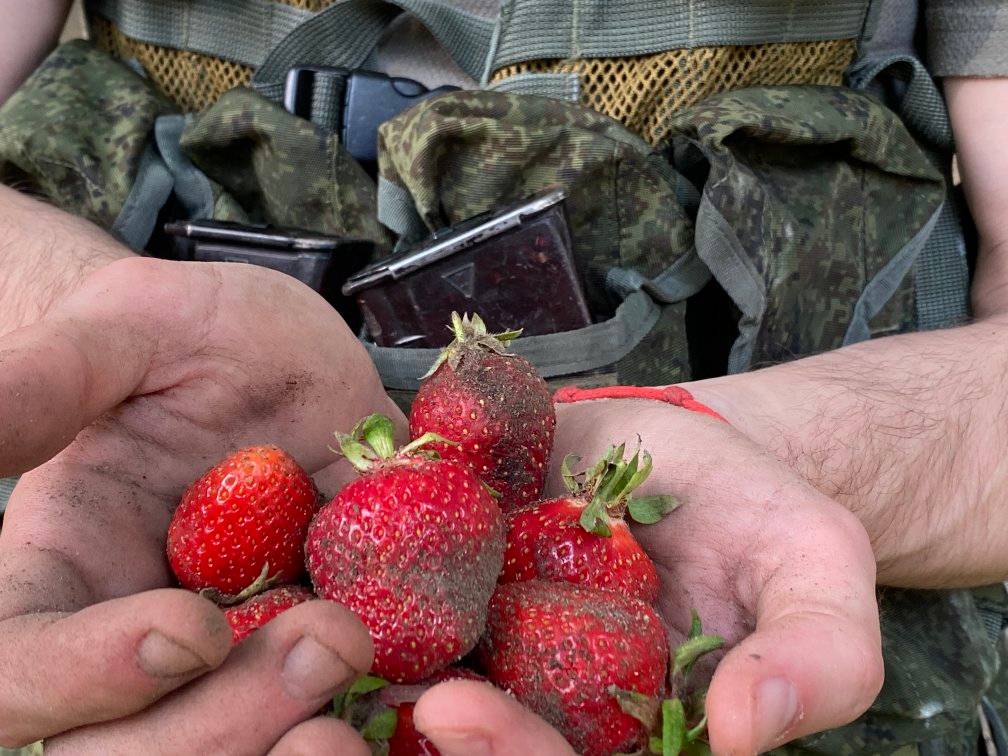За 50 грн на годину. Російські військові наймаються на збір полуниці на Херсонщині
