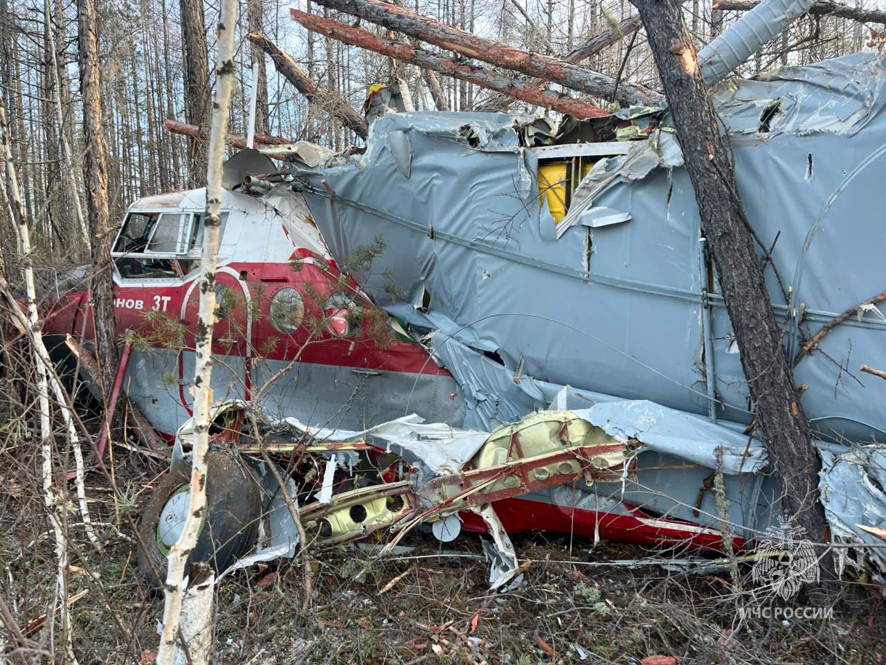 В Росії впав літак Ан-3, є жертви