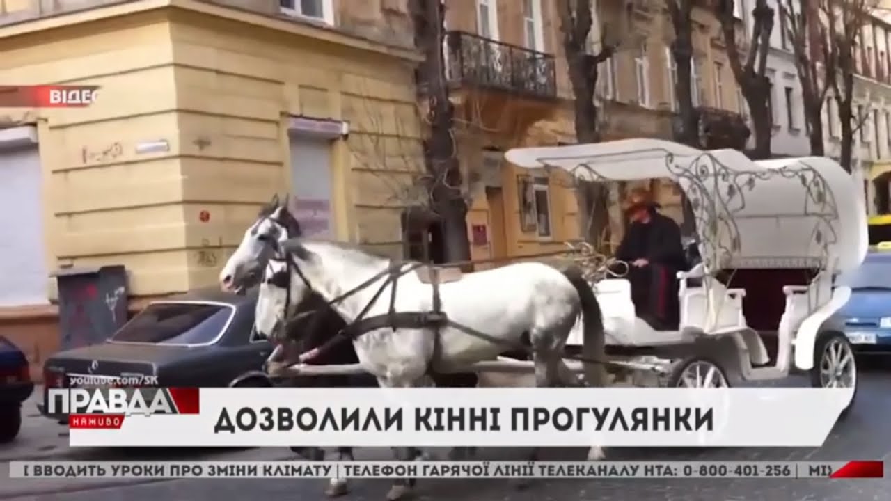 У Львові знову запрацює каретний бізнес