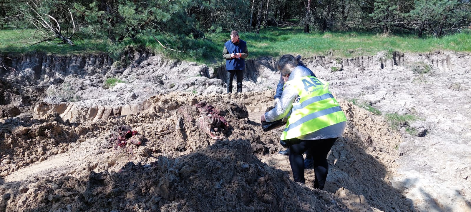 На Львівщині судитимуть чоловіка, який викинув рештки тварин біля села