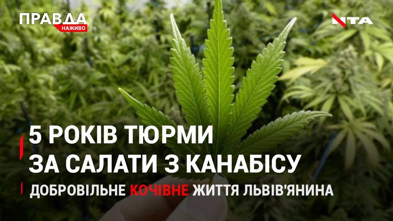 Байден VS Путін:підсумки розмови | За ґрати за салат з канабісу | НОВИНИ за 8 грудня