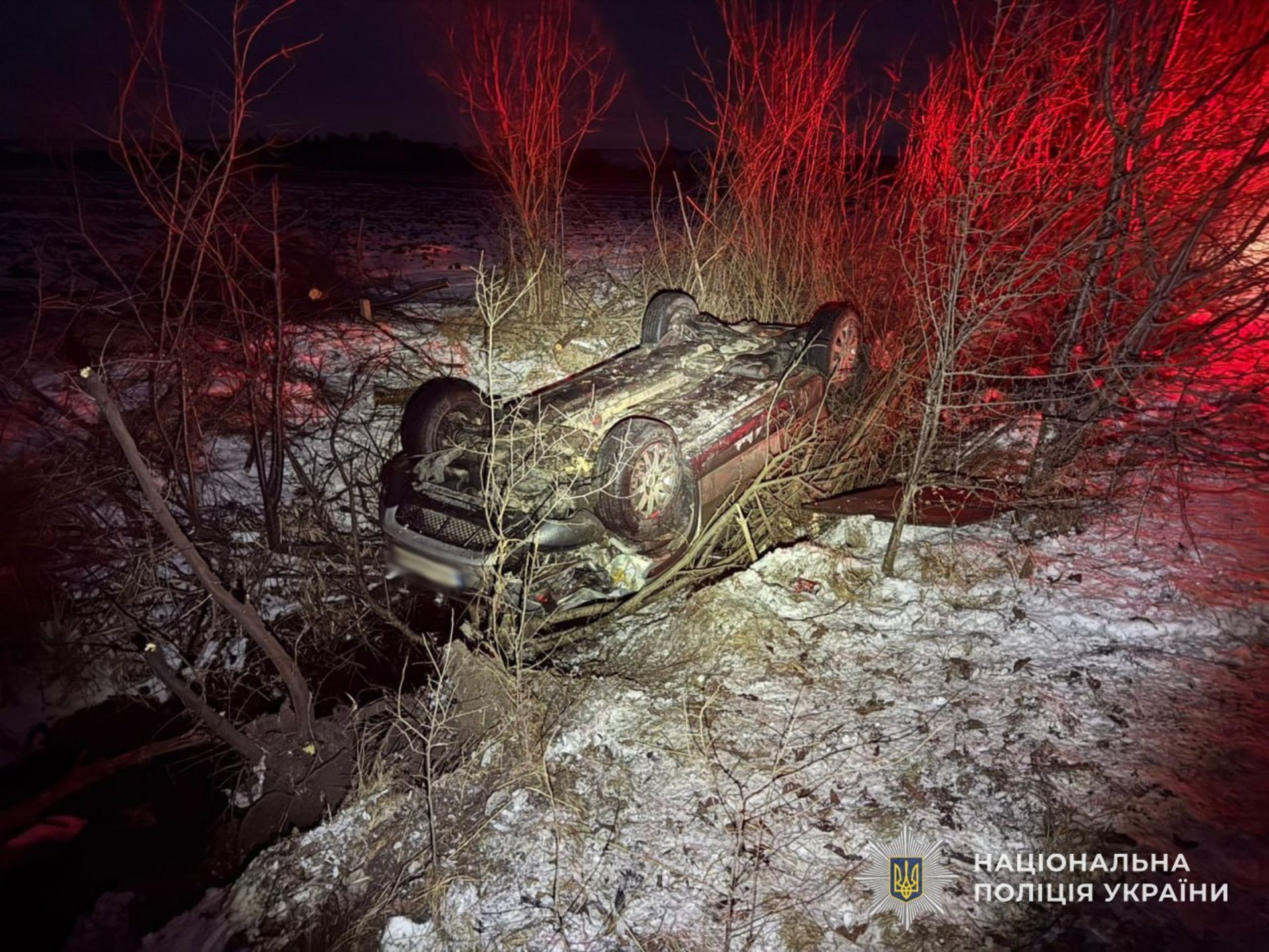 На Львівщині авто вилетіло з дороги і перекинулося на дах (фото)