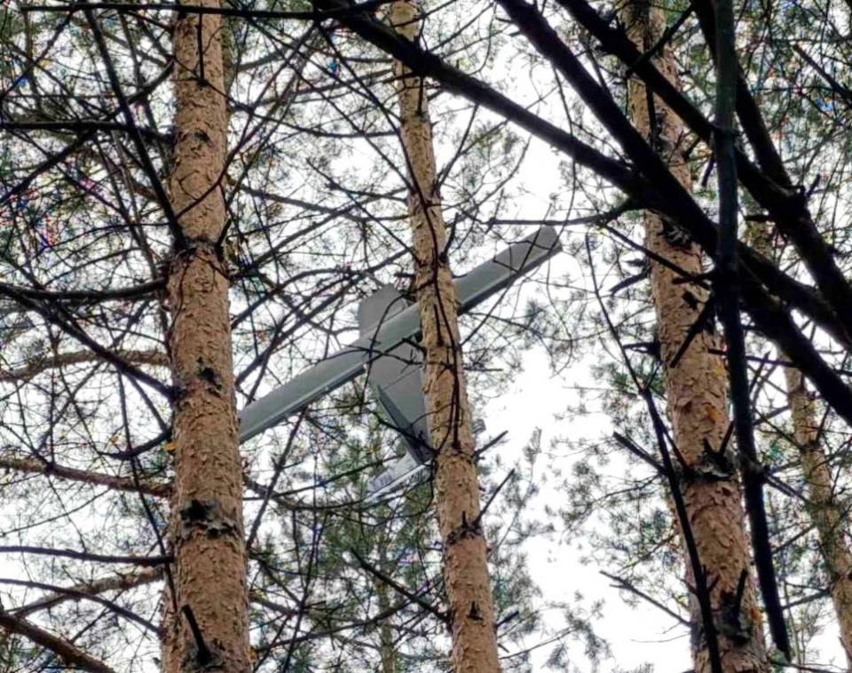 На Рівненщині російський БпЛА застряг між гіллями дерев (фото)